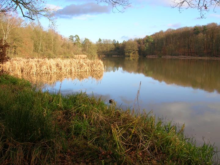 Der Stachelsee
